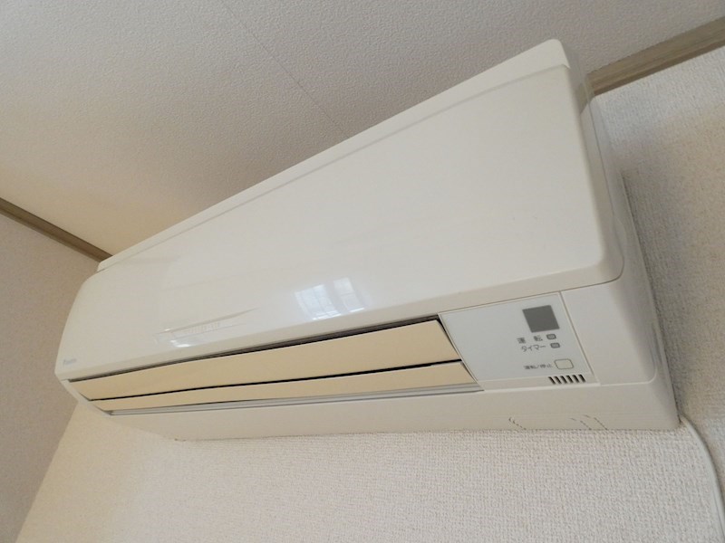 エバーグリーン  その他9