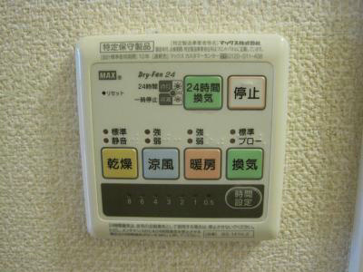 プリパゴス谷河内 その他4