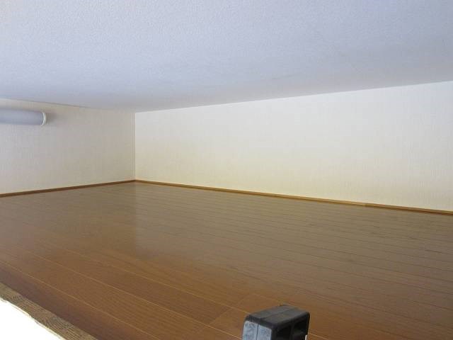 テリオス   その他5