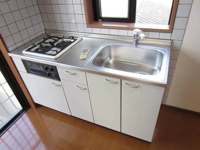 テリオス   キッチン