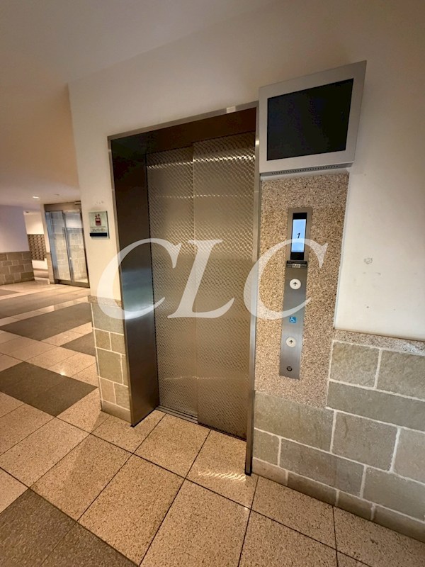 グランジュエ本所 その他11