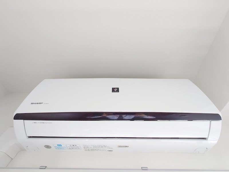 ステラマリス  その他1