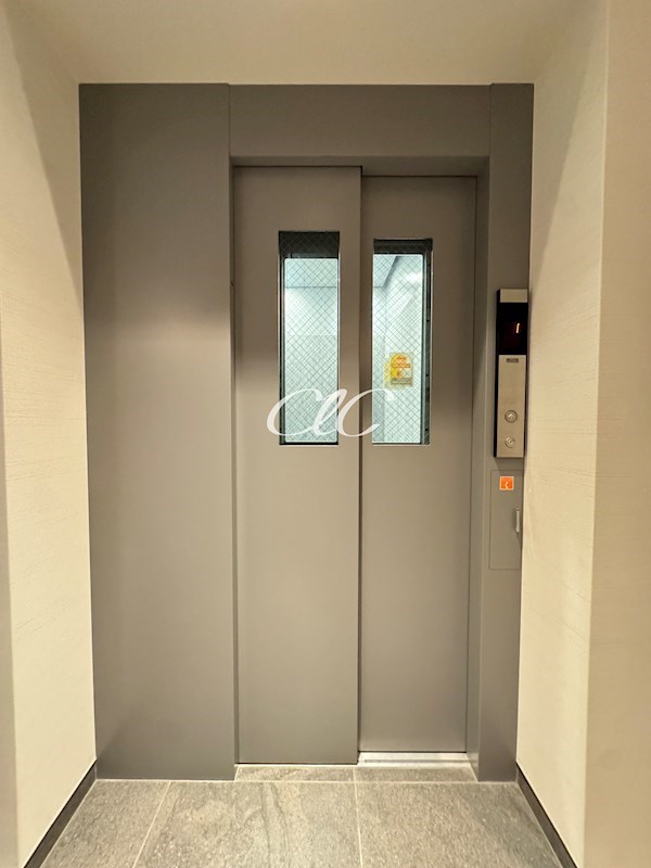 セントリビエ その他7