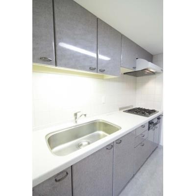 Ｌａｐｙｕｔａ   キッチン