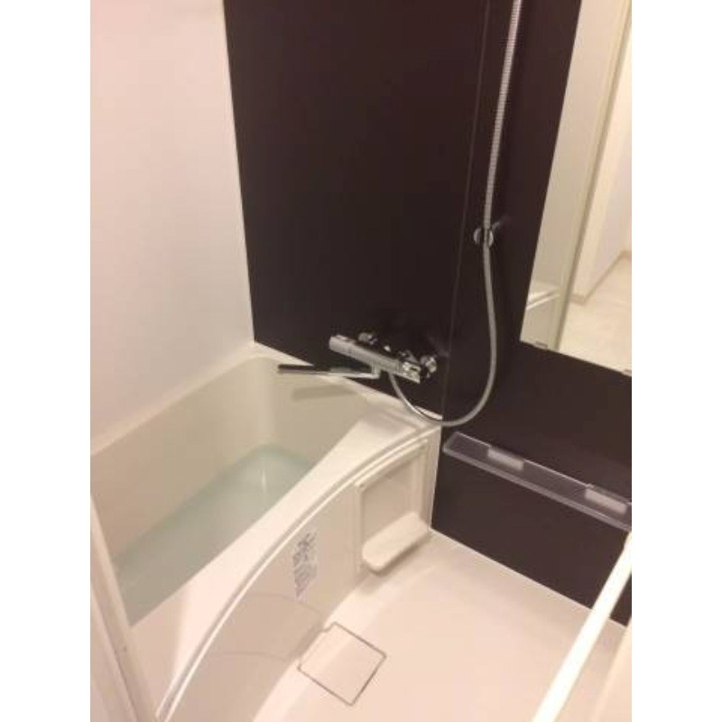リヴシティ堀切菖蒲園 風呂画像