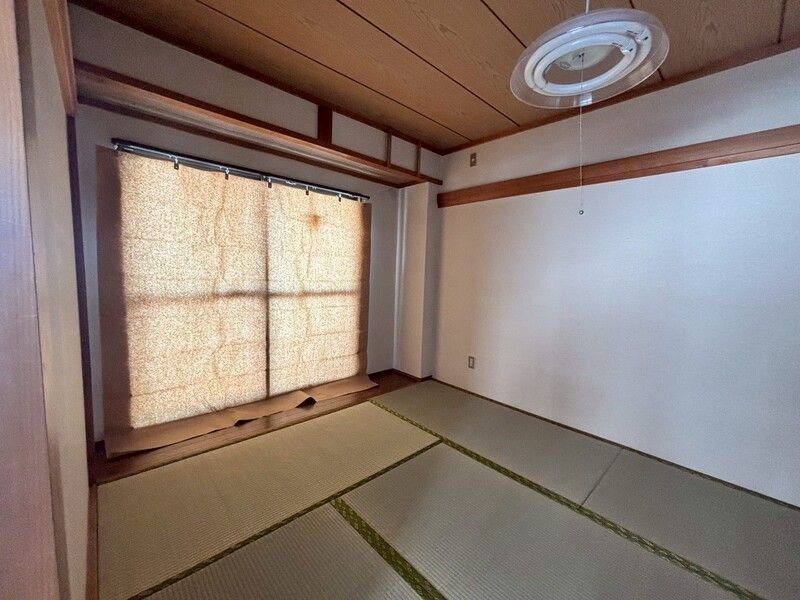 ロイヤルパール  その他13