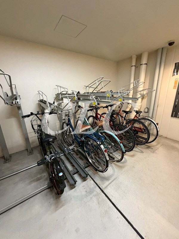 カーサ　ヴェルデ その他12