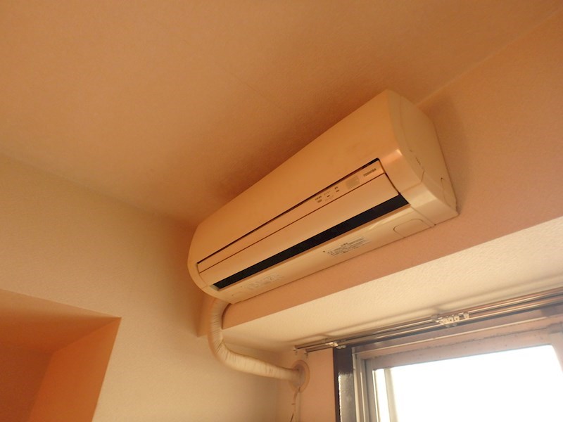 エバーグリーン その他7