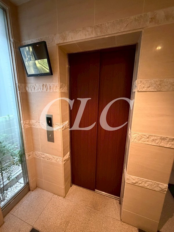 カーサ　ヴェルデ その他5