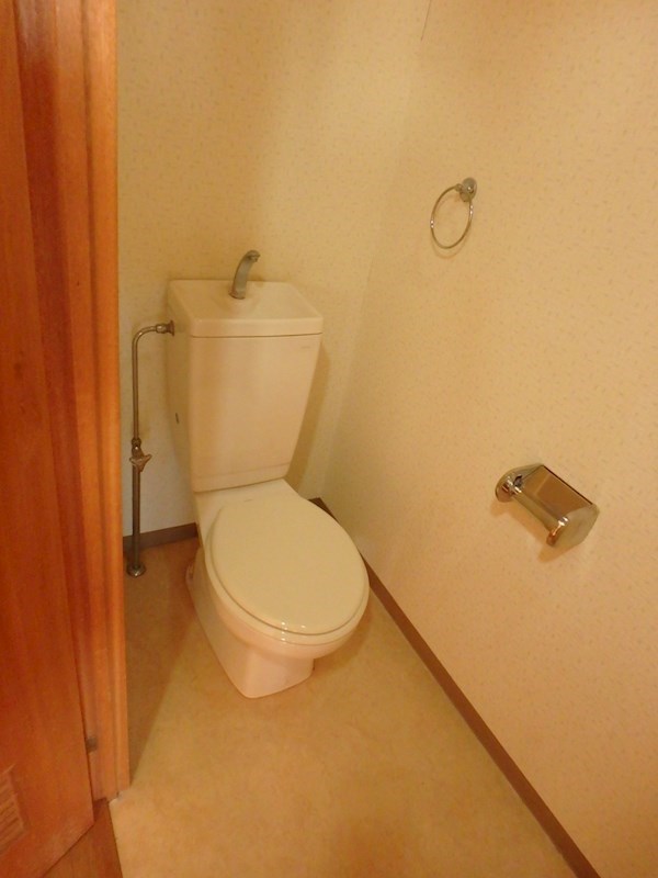 エバーグリーン その他4