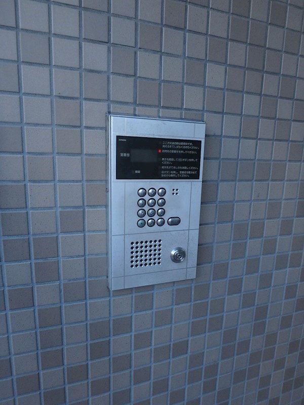 エバーグリーン その他6