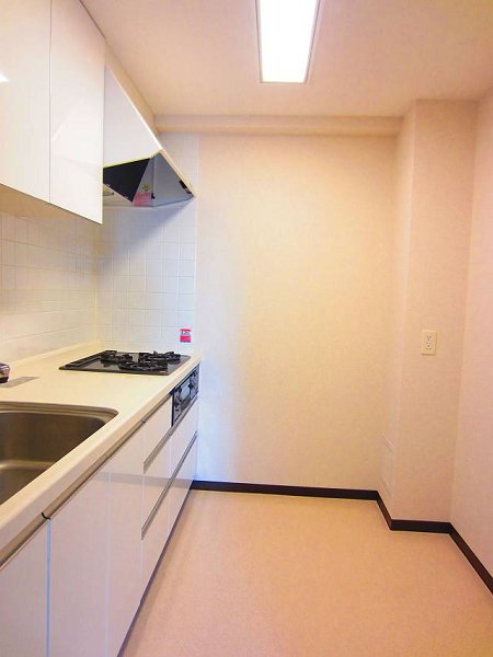 カスタリア荒川  その他3