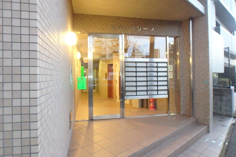 エバーグリーン その他1