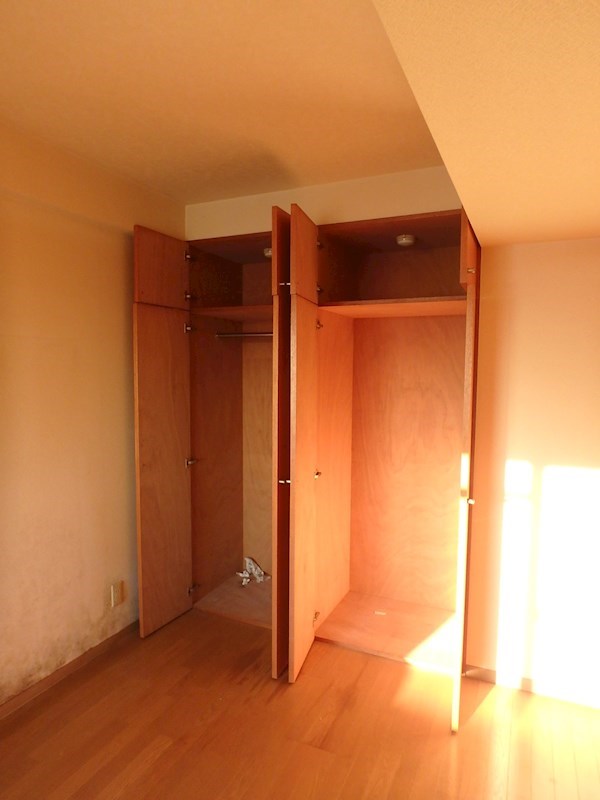 エバーグリーン その他3