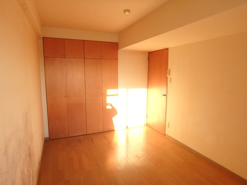 エバーグリーン その他8