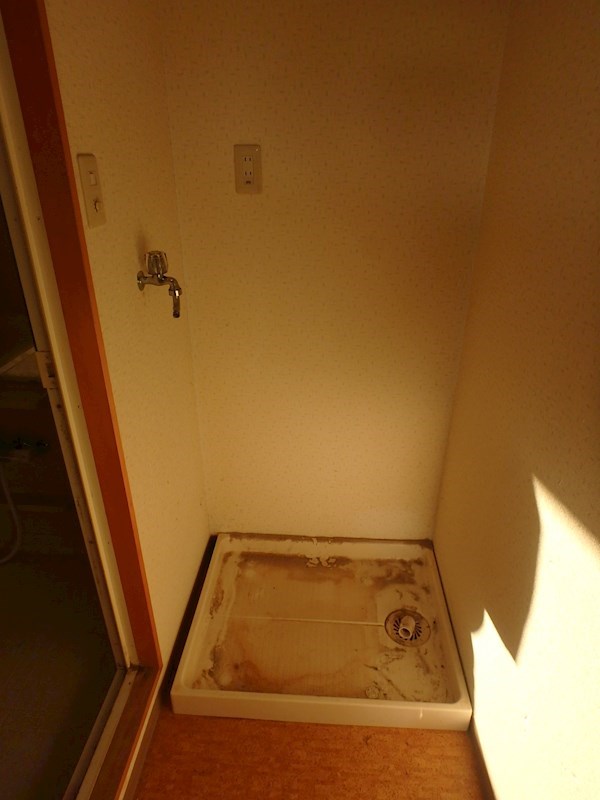 エバーグリーン その他9