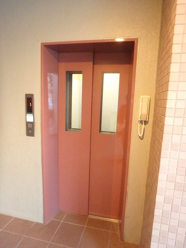 エバーグリーン その他12