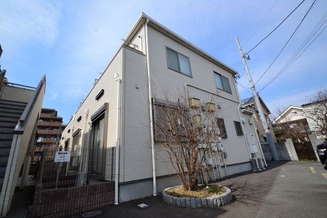 レッドカーラント 外観