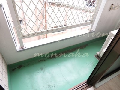 ロジマン菊川  ベランダ