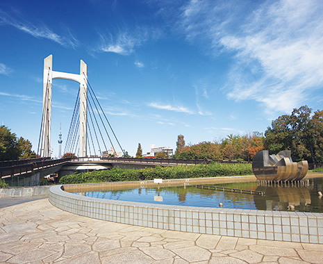 ブランピュール木場公園    周辺画像8