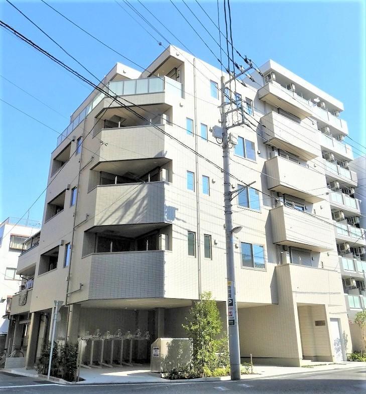 モンステラ 外観