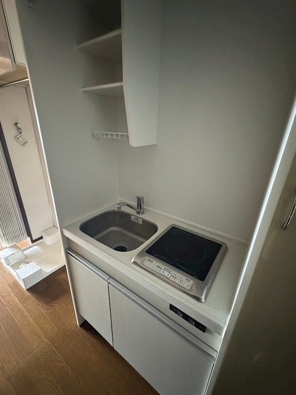 フリーゼハヤシⅣ キッチン