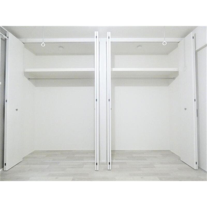 モンステラ その他1