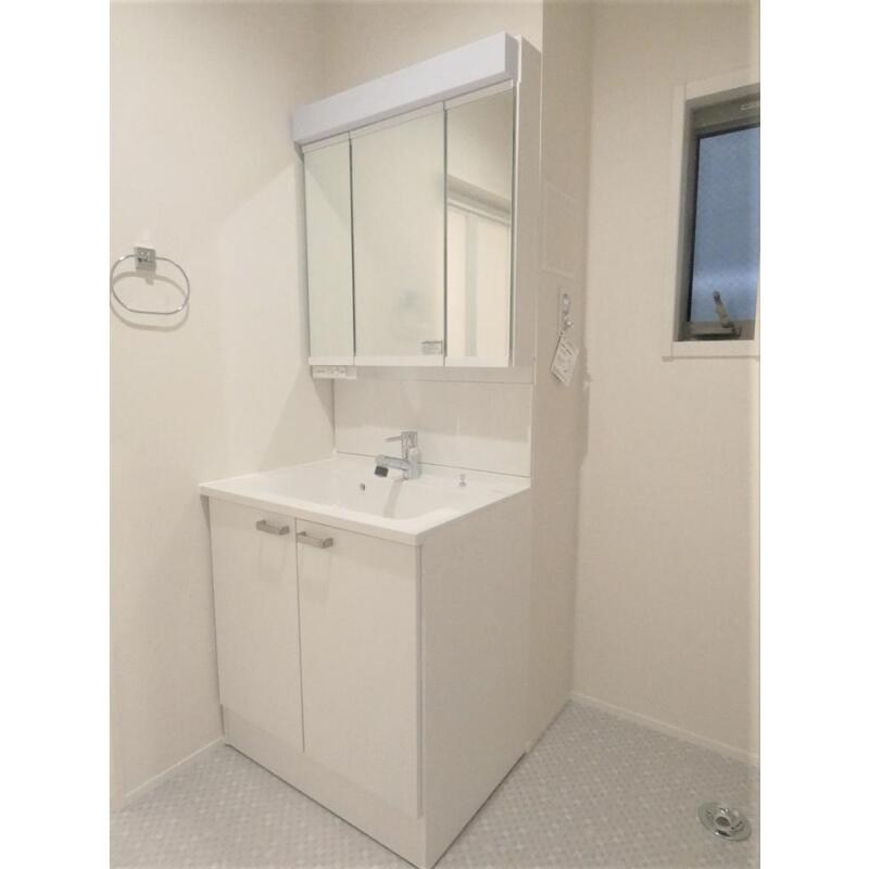 モンステラ その他2