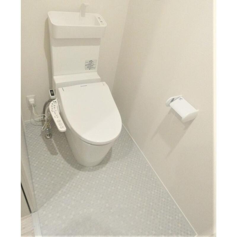 モンステラ その他3