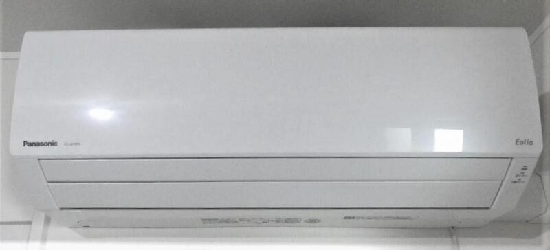 モンステラ その他4