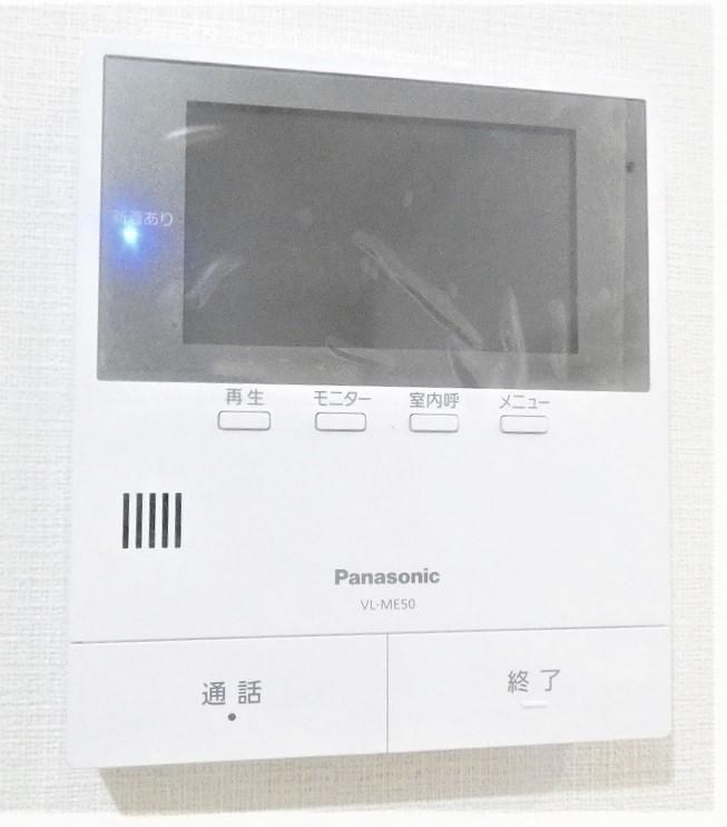 モンステラ その他5