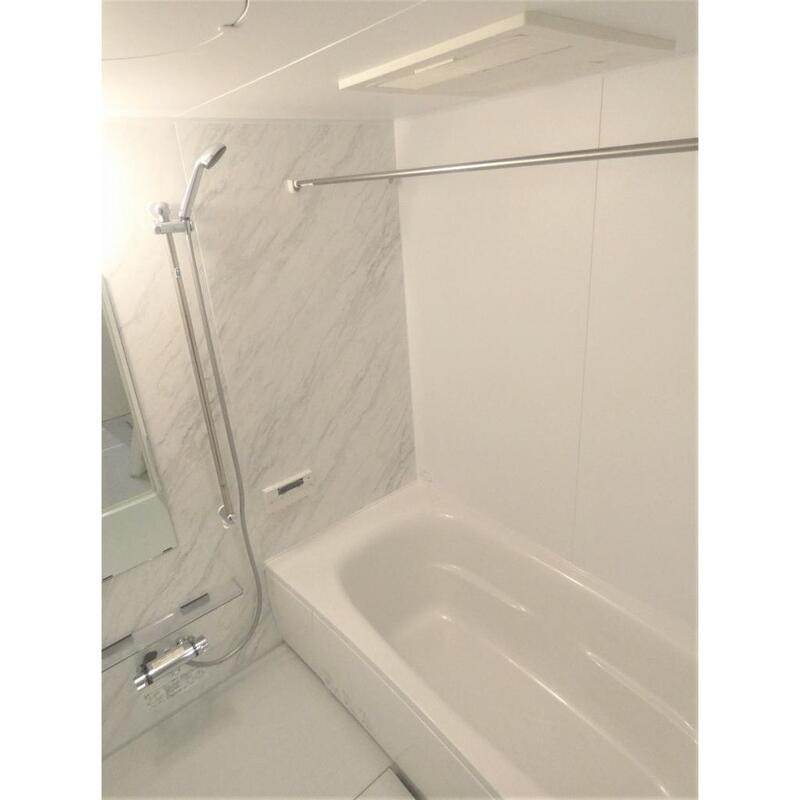 モンステラ 風呂画像