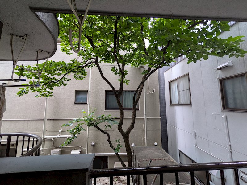 町田ファミール その他2