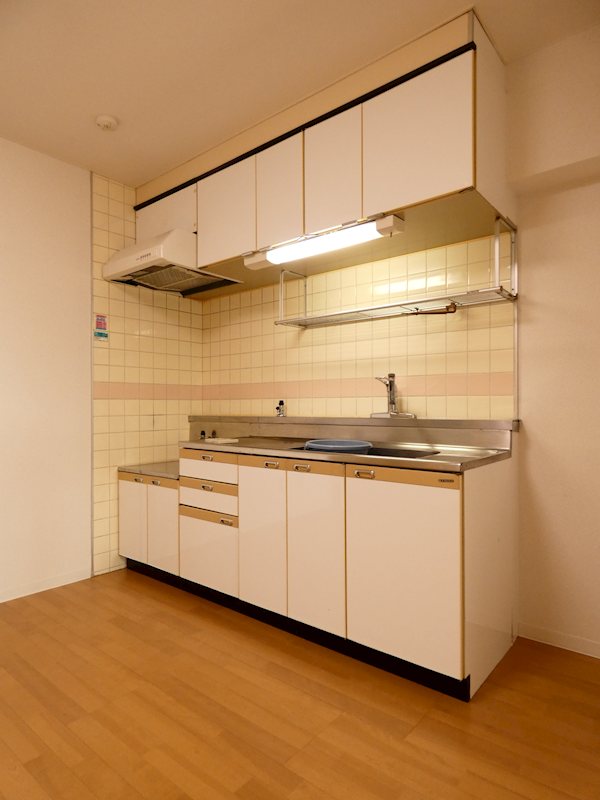 レピドール福田Ⅱ キッチン