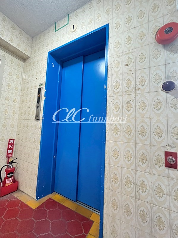 マツエコーポラス その他12