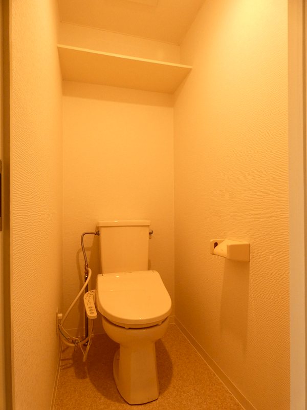 レピドール福田Ⅱ その他1