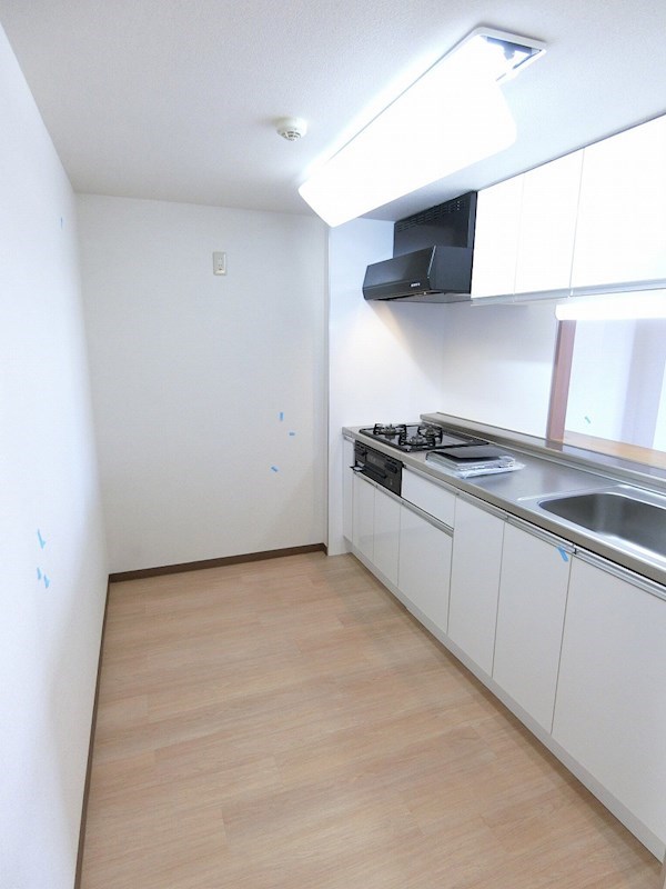 DeLCCSKASAI（デルックスカサイ） その他15