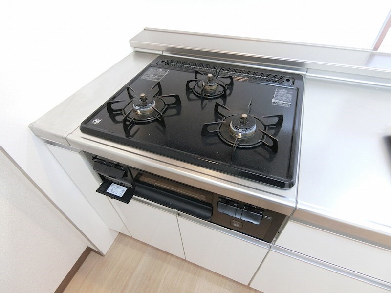 DeLCCSKASAI（デルックスカサイ） その他16