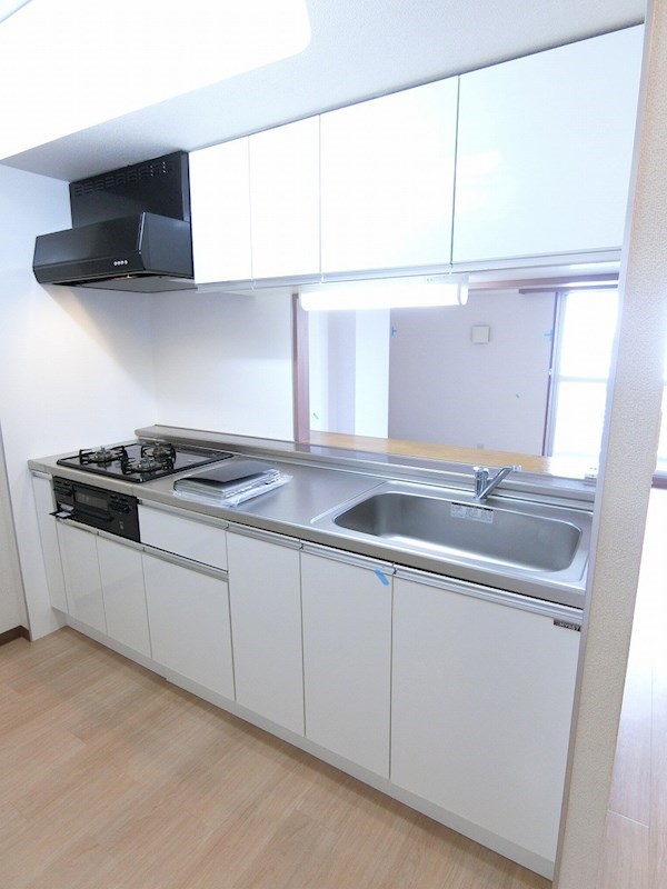 DeLCCSKASAI（デルックスカサイ） キッチン