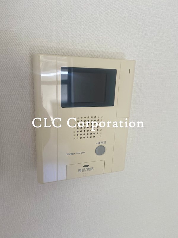 Ｌａｐｉｎ　Ｏｈｊｉｍａ その他1