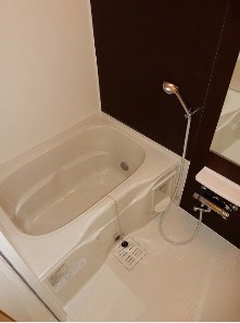 シャインツリー両国  風呂画像