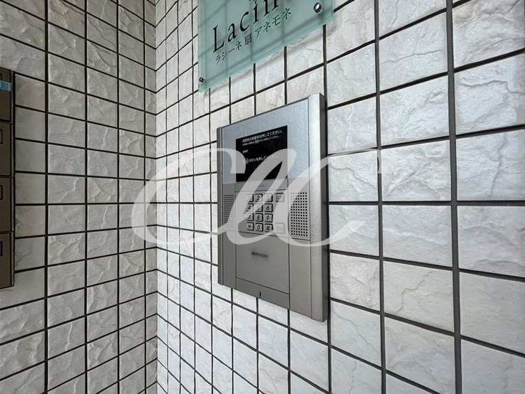 ラシーネ扇　アイリス その他7