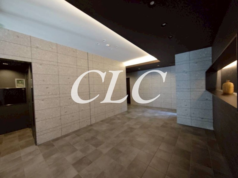 Ｙ&amp;rsquo;ｓ本所（ワイズ本所） その他11