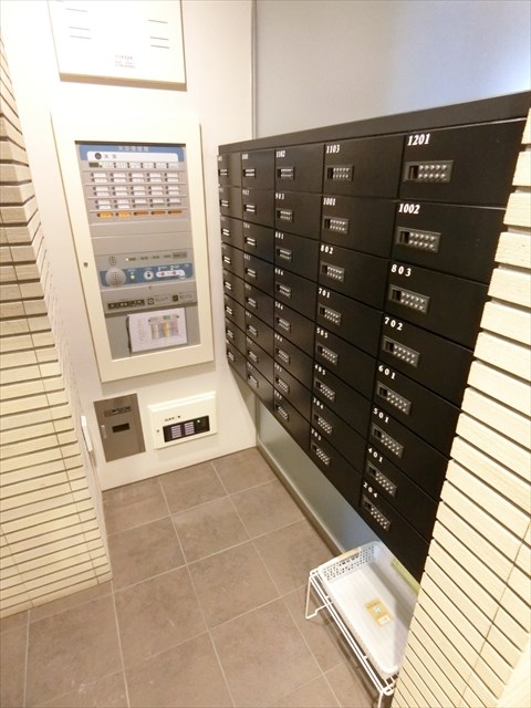 ステラ北進 その他10