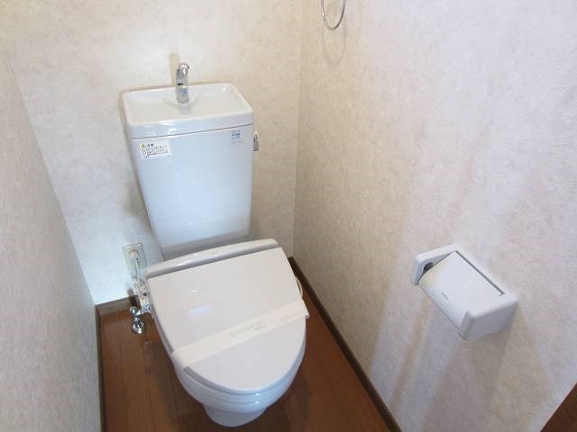 テリオス   その他1