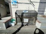 ベルウィング北綾瀬B その他7