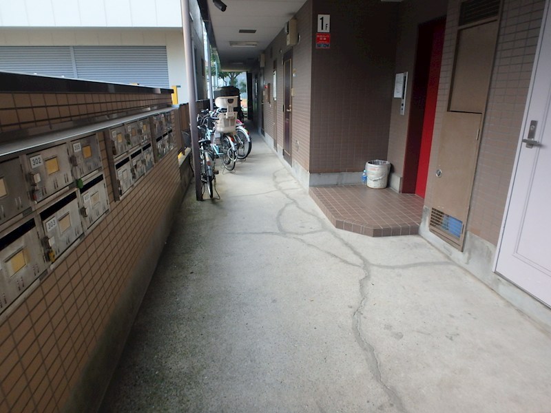 ＣＨＥＲＲＹ　ＰＡＬＡＣＥ その他8