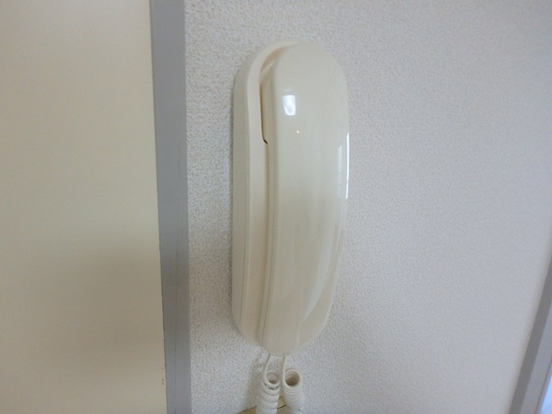 ＣＨＥＲＲＹ　ＰＡＬＡＣＥ その他2