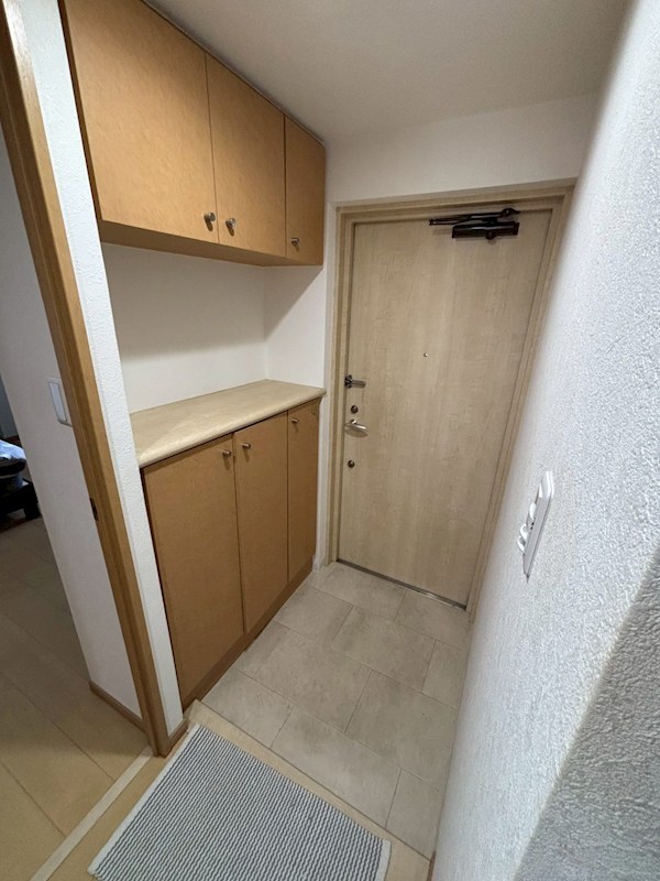 藤和シティホームズ新八柱 玄関