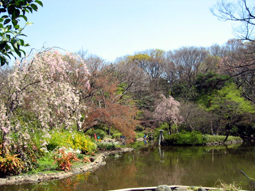 ESJプレイス 公園